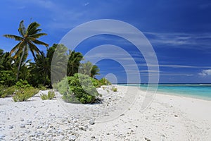 Pristine remote coco palm beach, Christmas Island, Kiribati