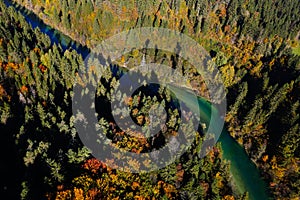 Pristine river meandering through forested landscape