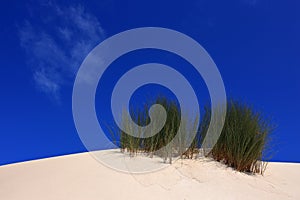 Pristine sand dunes, Peniche, Leiria district near Lisbon, Portugal.