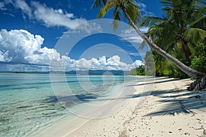Pristine sandy beach with lush palm trees under a clear blue sky, showcasing tranquility in paradise