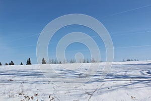 A pristine snow covered field surrounded by bare trees on a clear sunny winter day.