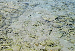 Pristine Transparent Water with Underwater Stones - Abstract Natural Background