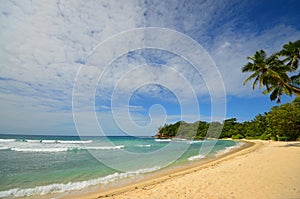 Pristine tropic beach