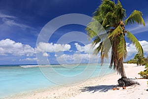 Pristine Tropical Beach on Christmas Island, Kiribati photo
