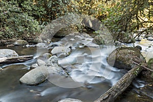 The pristine waters of the Savegre River. Costa Rica