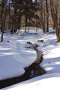 Pristine Winter Creek