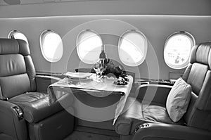 Privat Aviation aircraft interior design and meal