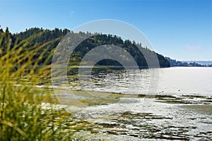 Private beach with Puget Sound view, Burien, WA