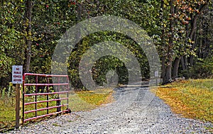 Private Entrance Gravel Road in early Fall Lined with Trees