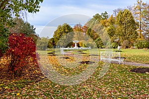 Private garden in Catherine park in autumn, Tsarskoe Selo Pushkin, Saint Petersburg, Russia