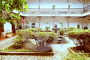 Private garden in white city popayan colombia south america