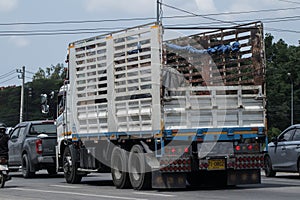 Private Hino Cargo Truck photo
