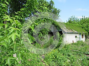 Private house in Chernobyl