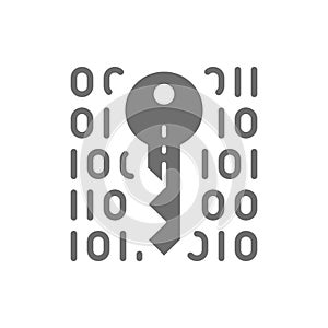 Private key, coding, cryptography, cyber security grey icon.