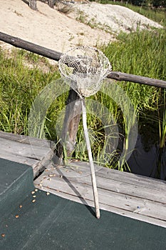 Private pond in the summer in the countryside