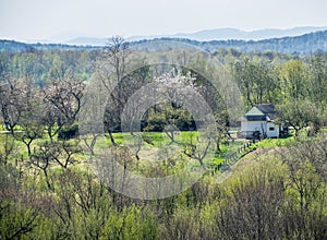 Private property in the midst of trees