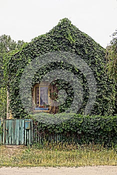 Private rural house overgrown with green vegetation