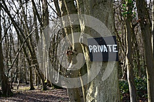 Private woodland