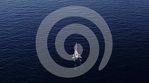 Private yacht sails close to the Mallorca island