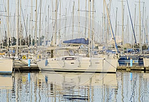 Private yachts in the marina