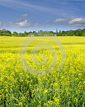 Holy Trinity Church, Privett in the South Downs National Park, UK