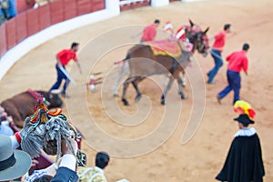 Prizewinning bullfighter photo