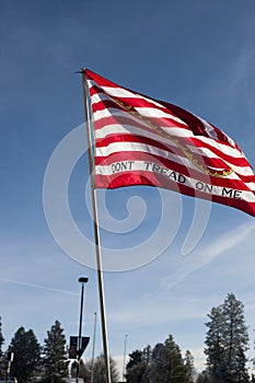 Pro American banner at rally.