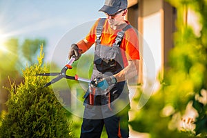 Pro Gardener Plants Trim photo