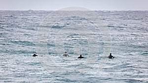 Pro Surfers Waiting for Waves