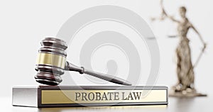 Probate law: Judge's Gavel as a symbol of legal system and wooden stand with text word