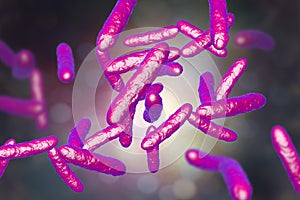 Probiotic bacteria, normal intestinal microflora