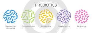 Probiotic bacteria set in circle. Gut microbiota with healthy prebiotic bacillus.