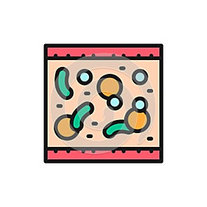 Probiotic in blood, healthy arteria flat color line icon. photo