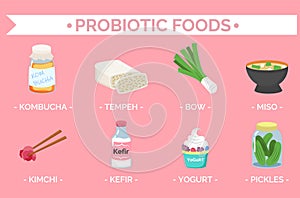 Probiotic Foods, Collection of Meals and Dishes
