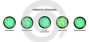 Probiotic microorganisms. microbiology