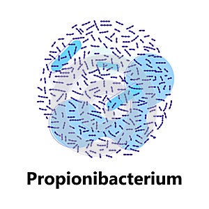 Probiotics bacteria. Lactobacillus, bulgaricus logo with text. Amorphous symbols for milk products are shown such as yogurt, photo