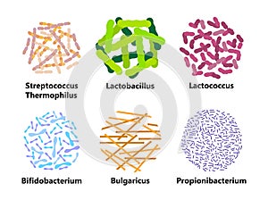 Probiotics bacteria set vector. Lactobacillus, bulgaricus logo with text. Amorphous symbols for milk products are shown such as photo