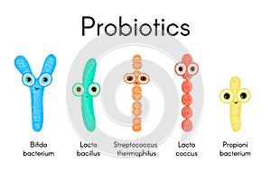 Probiotics. Bifidobacterium, lactobacillus, streptococcus thermophilus, lactococcus, propionibacterium