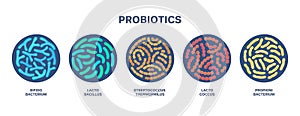 Probiotics. Bifidobacterium, lactobacillus, streptococcus thermophilus, lactococcus, propionibacterium. Microbiome