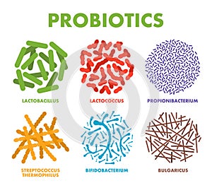 Probiotics. Good bacteria and microorganisms for human health. Microscopic probiotics, good bacterial flora photo