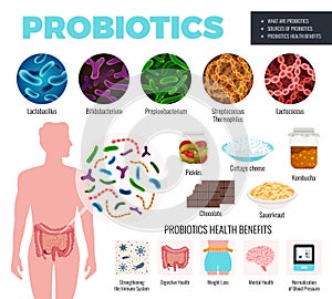 Probiotics And Health Set