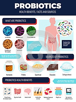 Probiotics Infographic Set photo