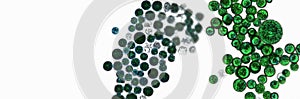 Probiotics, lactic acid bacteria. Algae, bacteria and microorganisms. Microscopic probiotics, bacterial flora photo