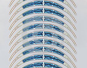 Probiotics, lactic acid bacteria. Algae, bacteria and microorganisms. Microscopic probiotics, bacterial flora photo