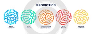 Probiotics. Lactic acid bacterium. Bifidobacterium, lactobacillus, streptococcus thermophilus, lactococcus photo