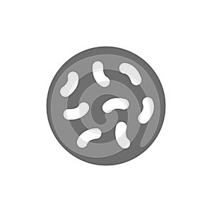 Probiotics, lactobacilli, bifidobacteria grey icon. Isolated on white background photo