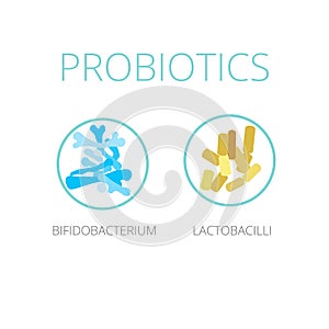 Probiotics Lactobacilli and Bifidobacterium, vector illustration