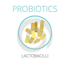 Probiotics Lactobacilli, vector illustration.