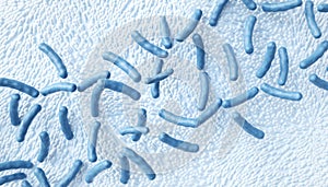 Probiotics Lactobacillus acidophilus. Human microbiome background