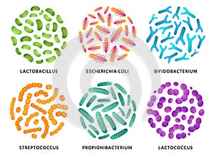 Probiotics. Lactobacillus, bifidobacterium and lactococcus probiotic bacteria in circle. Good bacterias vector